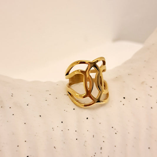 ANILLO
