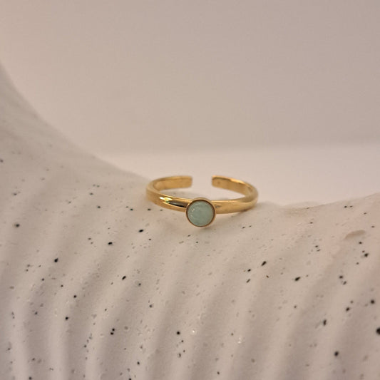 ANILLO