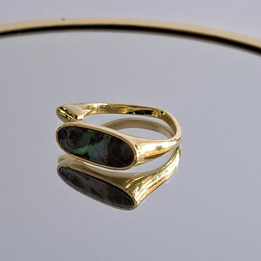 ANILLO